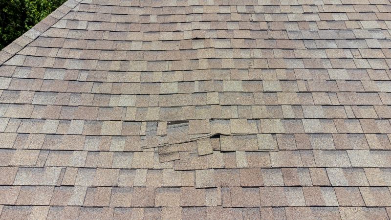 Asphalt Roof Inspection in Boulder, CO