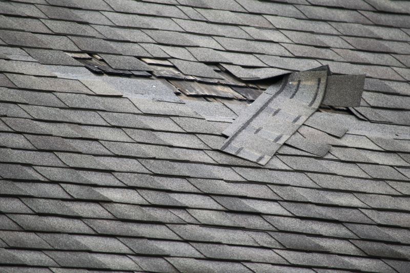 Asphalt Roof Leak Repair in Denver County, CO
