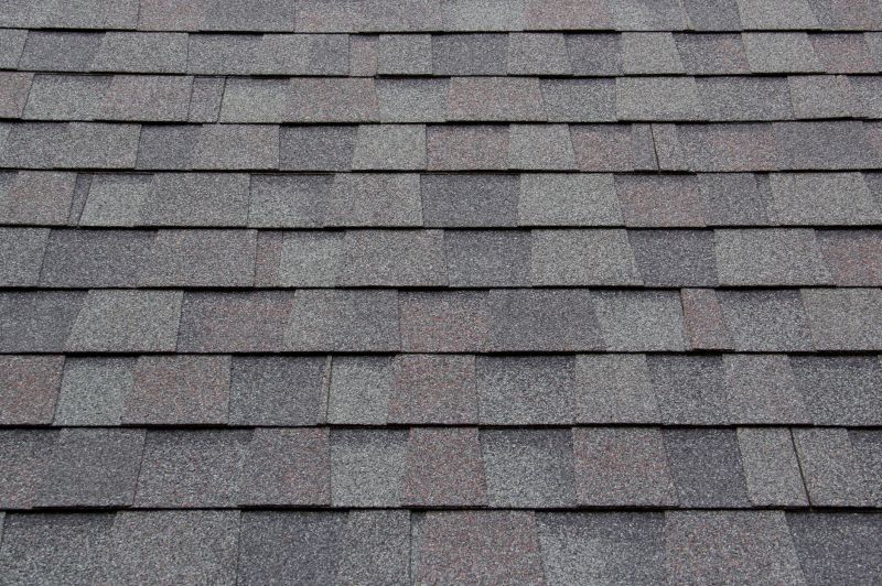 Asphalt Shingles Installation in Denver County, CO