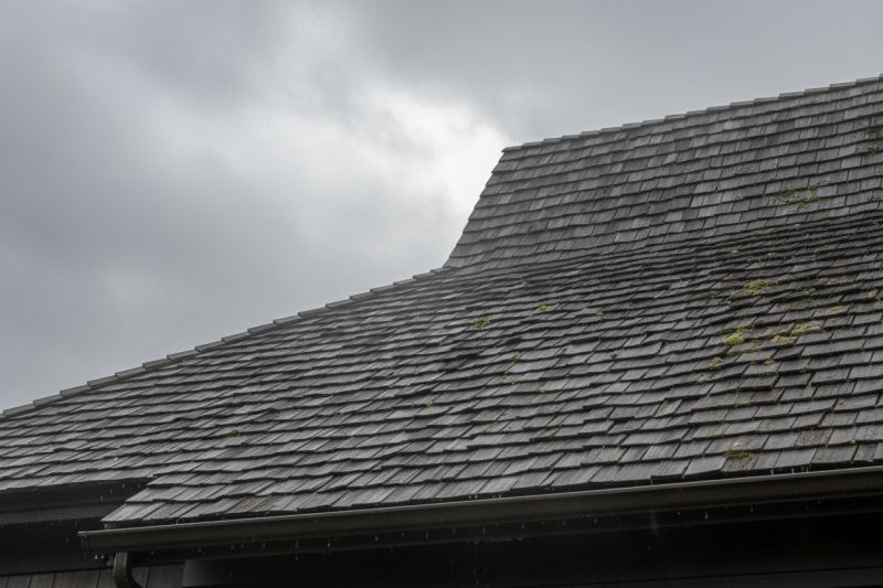 Cedar Roof Replacement in Westminster, CO