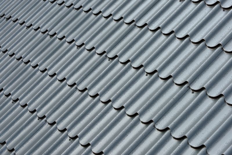 Corrugated Roof Repair in Louisville, CO