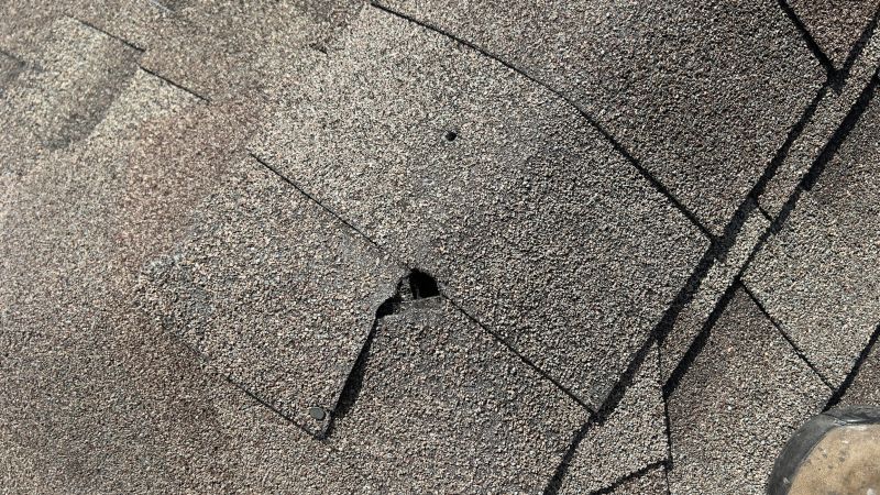 Damaged Roof Repair in Adams County, CO