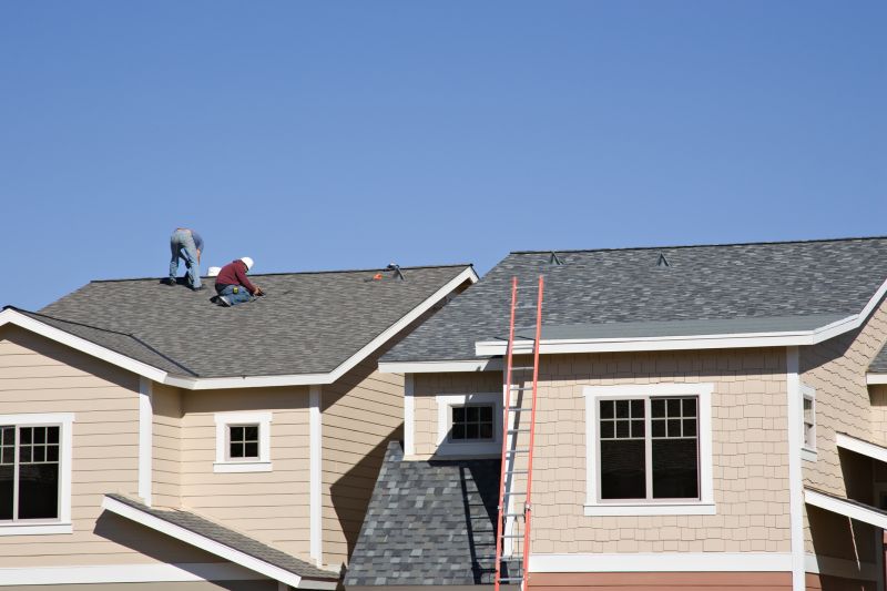 Damaged Roof Repair in Fort Lupton, CO