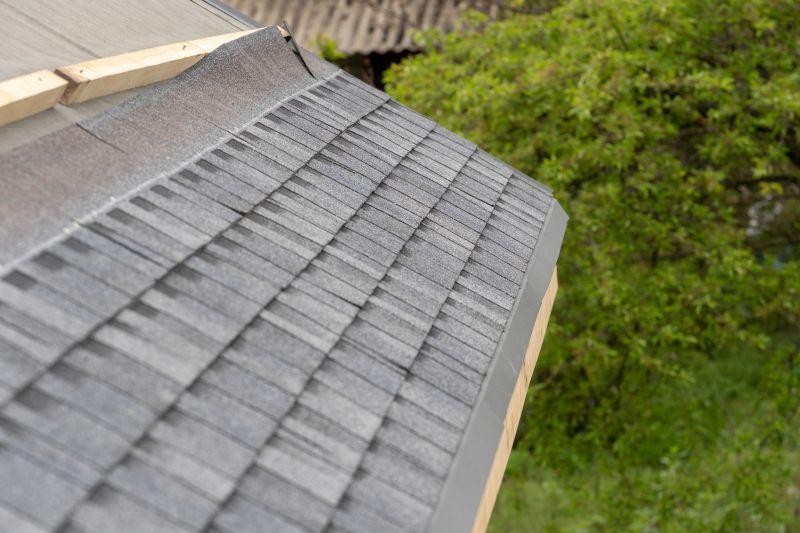 Damaged Roof Repair in Lafayette, CO