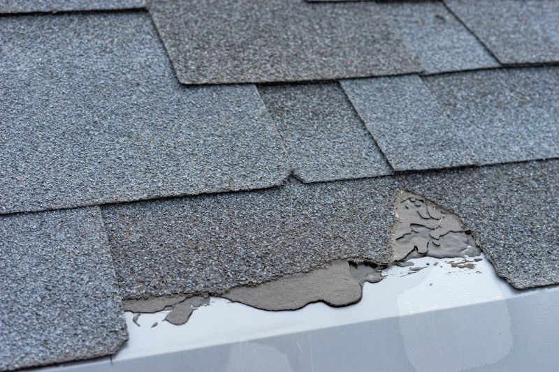 Damaged Roof Repair in Wheat Ridge, CO