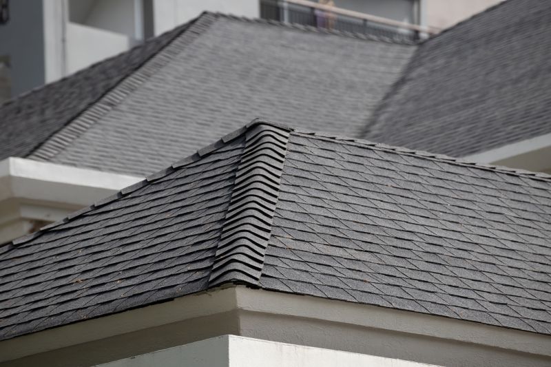 Roof Construction in Wheat Ridge, CO