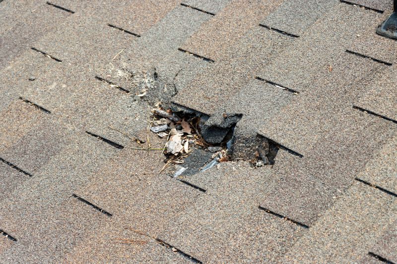 Roof Shingles Replacement in Bennett, CO