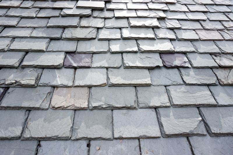 Slate Roof Repair in Wheat Ridge, CO