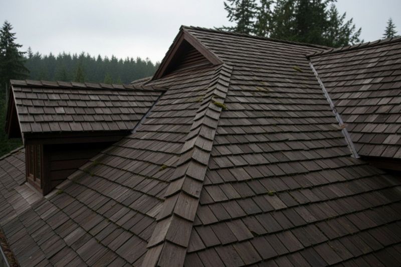 Wood Shake Roof Replacement in Longmont, CO